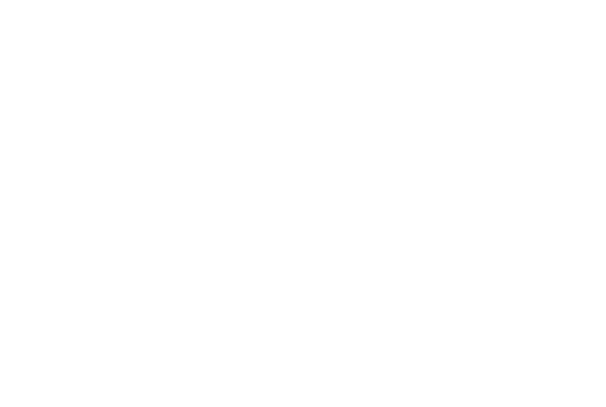 Polo Development logo